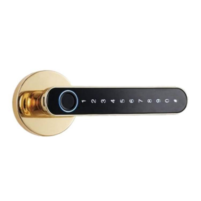 The Smart Door Lock Opens At A Touch - Lovin’ The Beauty 